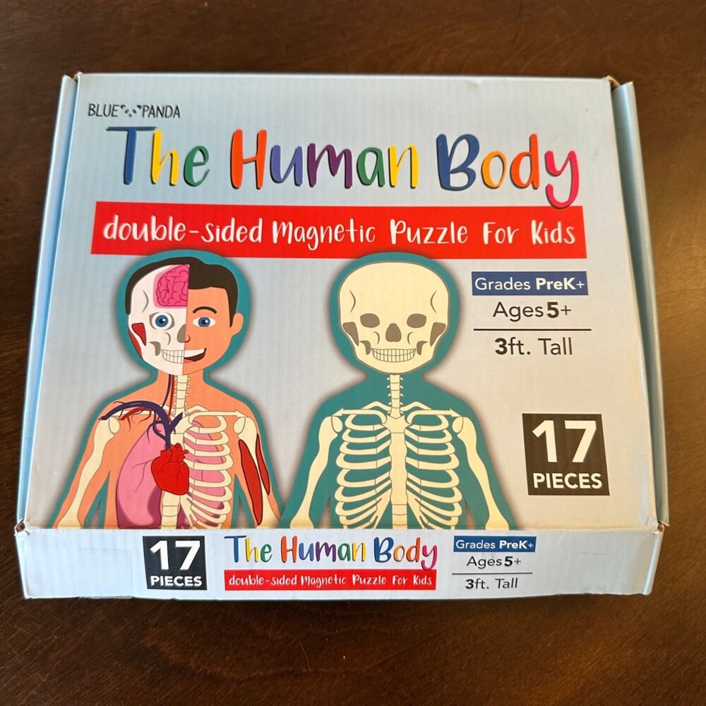 Human Body Magnetic Puzzle Kids Double Sided 3 Ft Anatomy Large Skeleton Floor